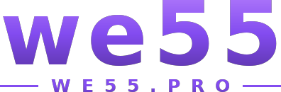 we55 โลโก้